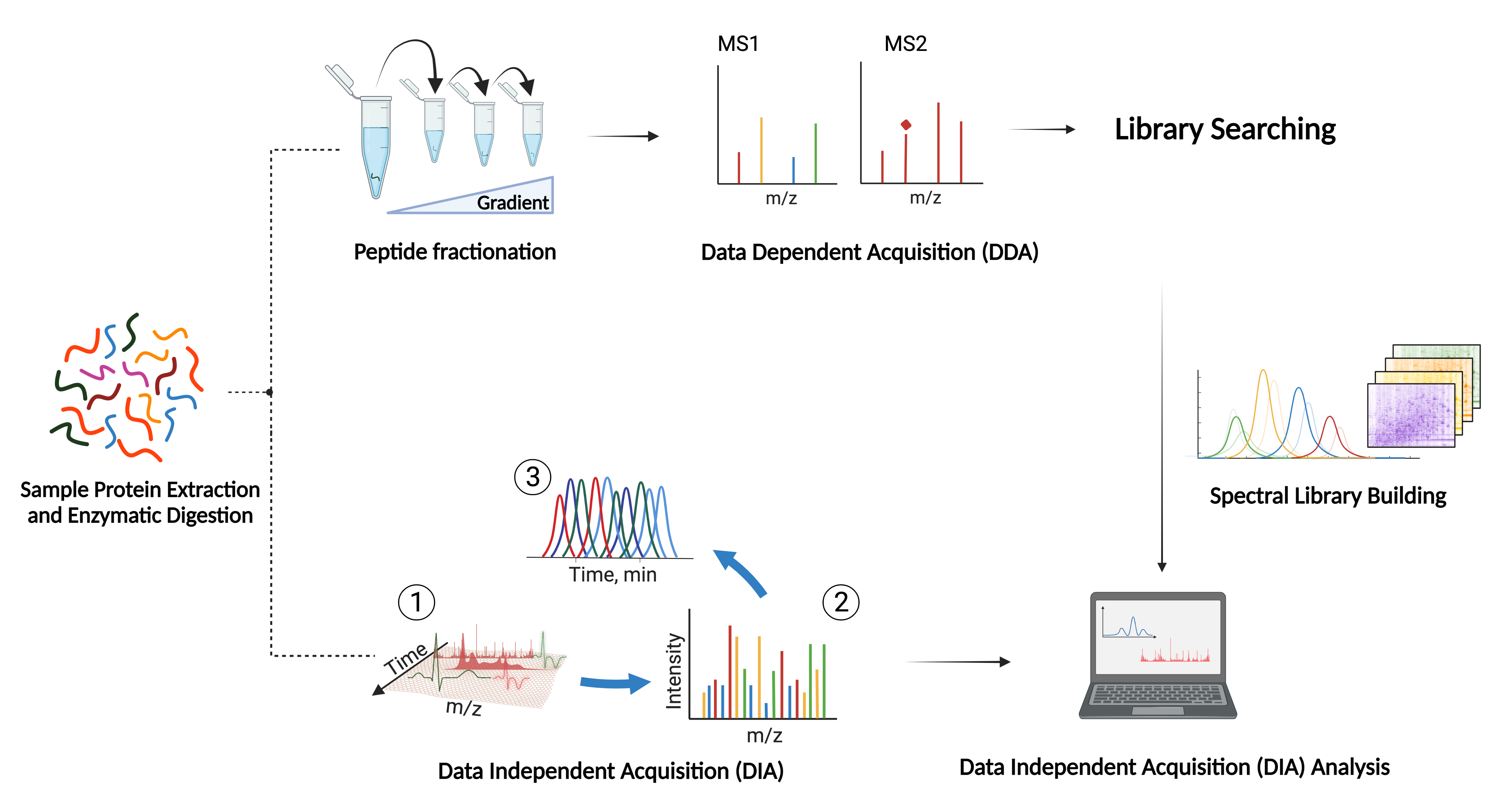 Dia Westlake Omics